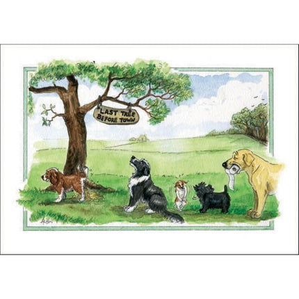 Alisons Animals Funny Dog Card Last Tree Before Town by Alisons Animals shows five dogs waiting by a tree with a humorous sign, set in a peaceful green landscapeâ€”perfect as a greeting card.