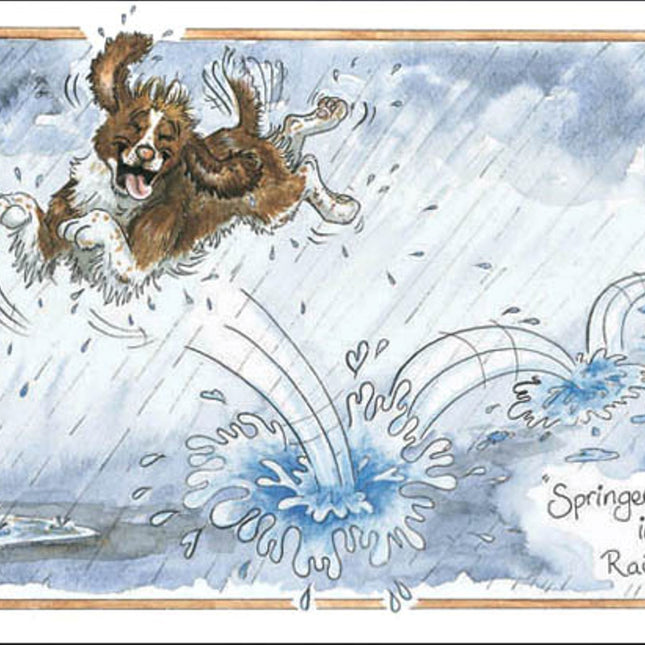 A comical brown and white springer spaniel leaps through rain and puddles with Springer in the Rain textâ€”perfect as the Funny Dog Greeting Card by Alisons Animals.