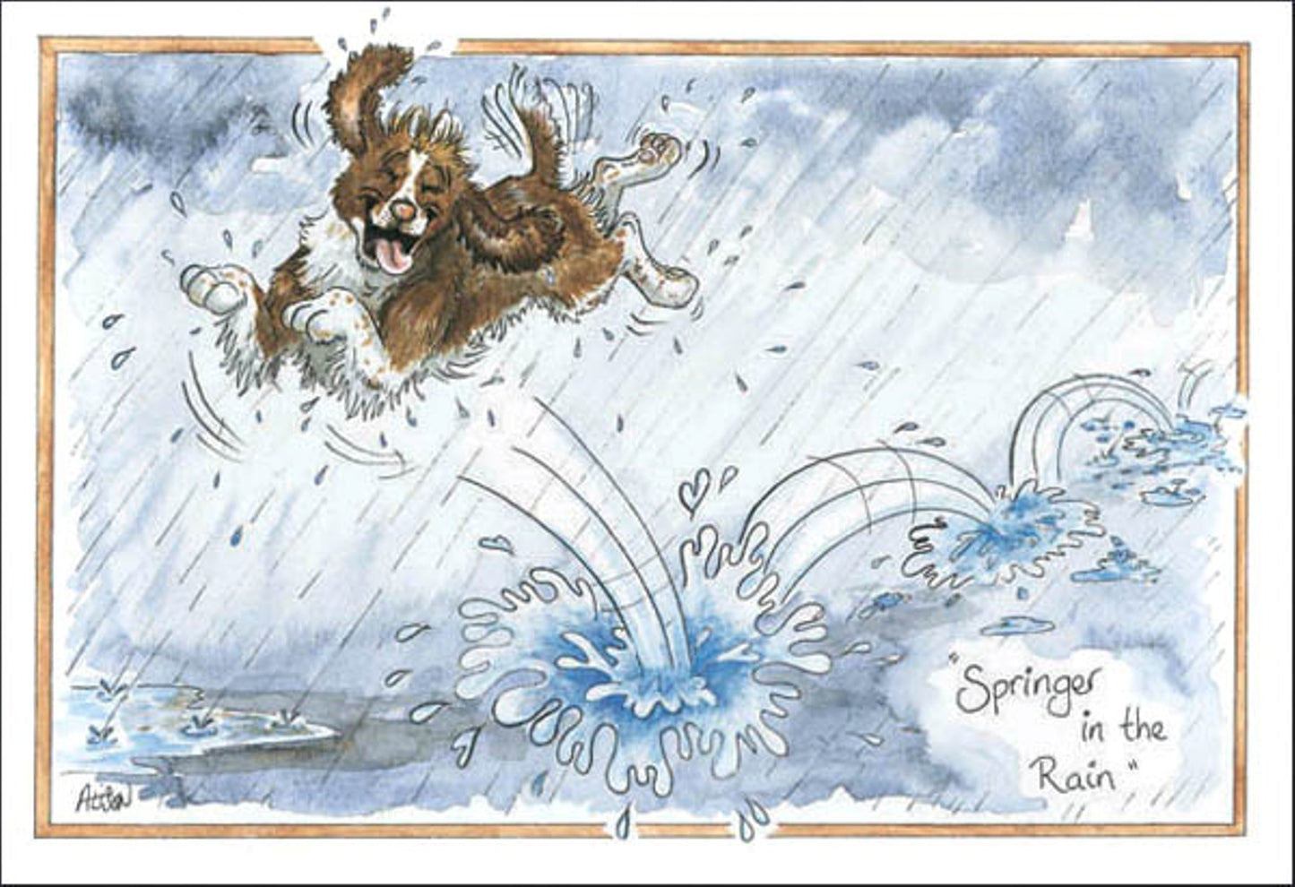 Funny Dog Greeting Card Alisons Animals Springer In The Rain