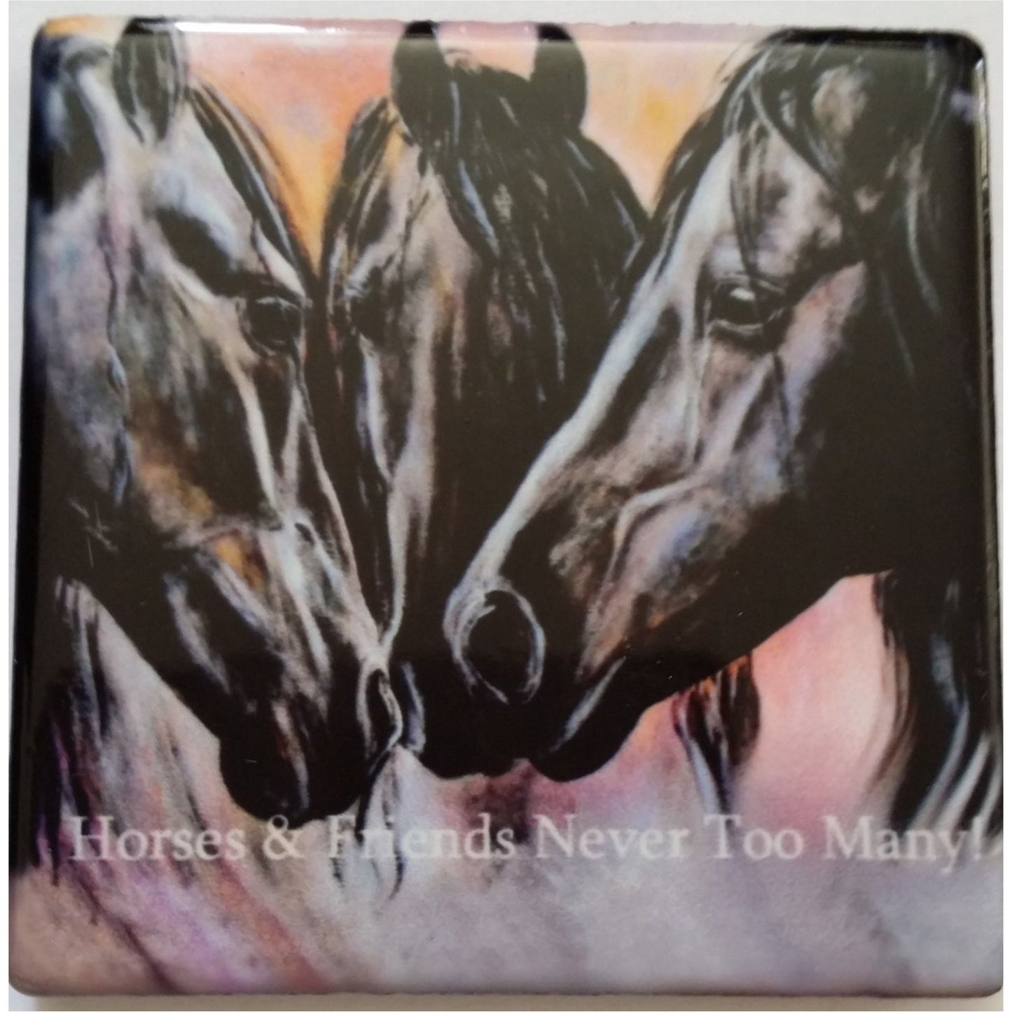 Diane Hennchen Horse Fridge Magnet "Horses and Friends....."