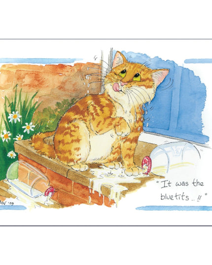 a cartoon showing a guilty ginger tabby cat trying to blame the birds for stealing the milk on the doorstep