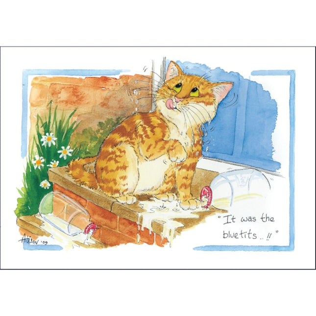 a cartoon showing a guilty ginger tabby cat trying to blame the birds for stealing the milk on the doorstep