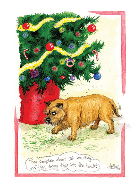 funny dog Christmas card by Alisons Animals with  a dog walking past a Christmas tree that is losing its needles and thinking They Complain About Me Moulting.