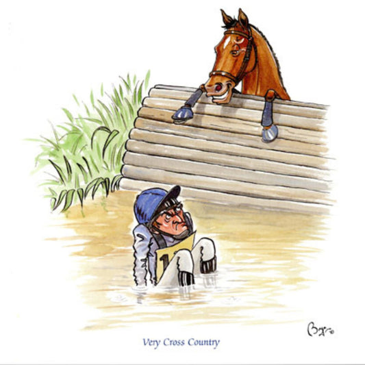a bay horse with its front legs over a cross country fence laughing at its rider who is sitting in the water on the other side of the jump. The rider is looking at the horse with a very cross expression. 