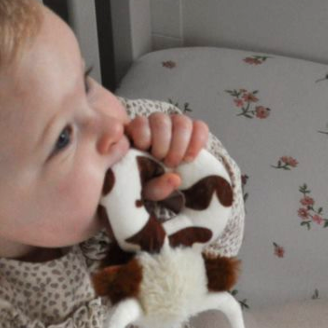a baby using the longhon cow baby rattle as a teether