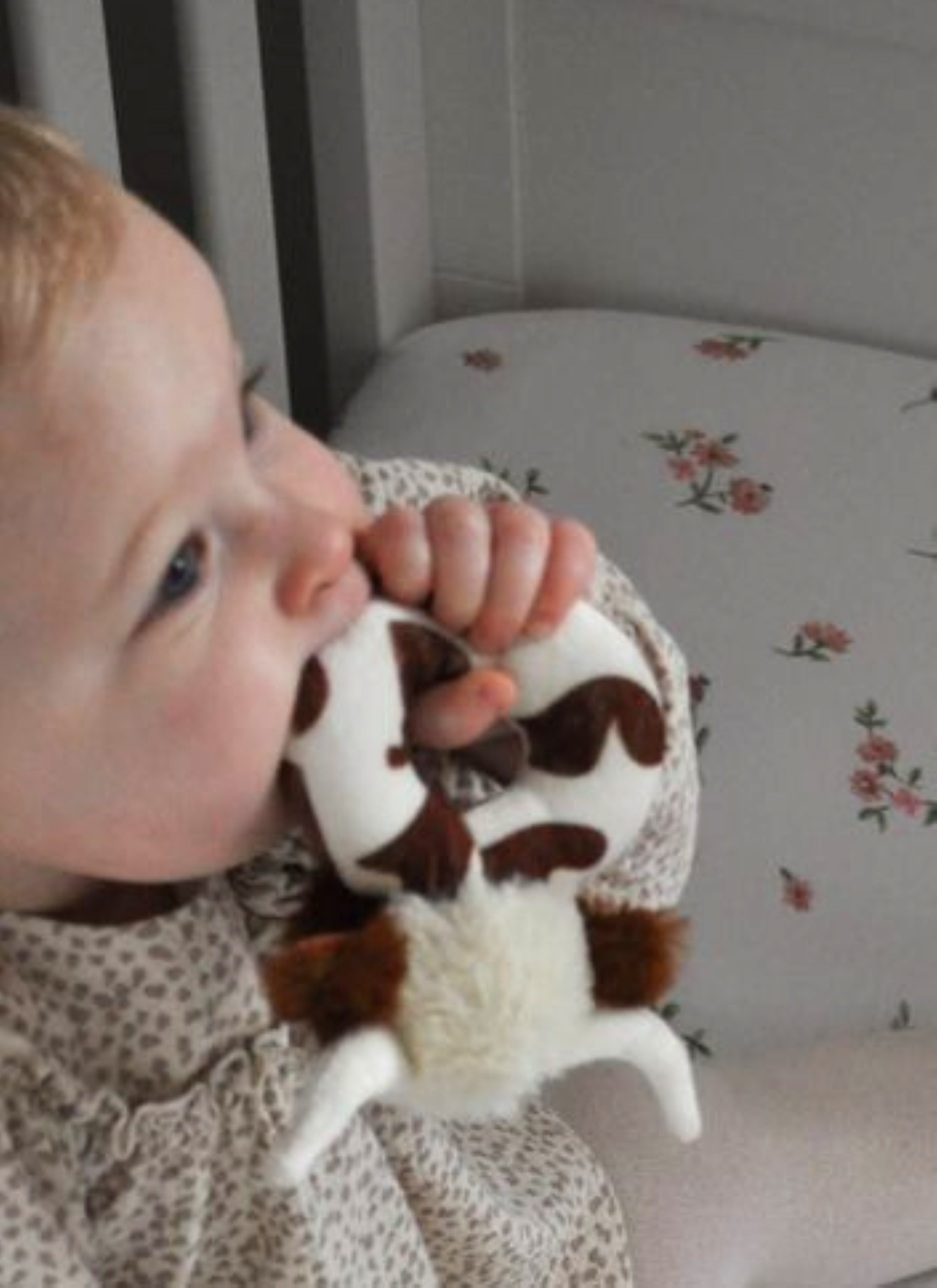 a baby using the longhon cow baby rattle as a teether