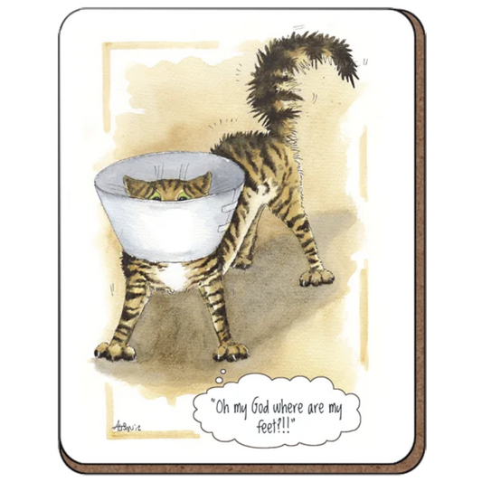 Coaster with a illustration of an upset cat with a medical cone wondering where it's feet are