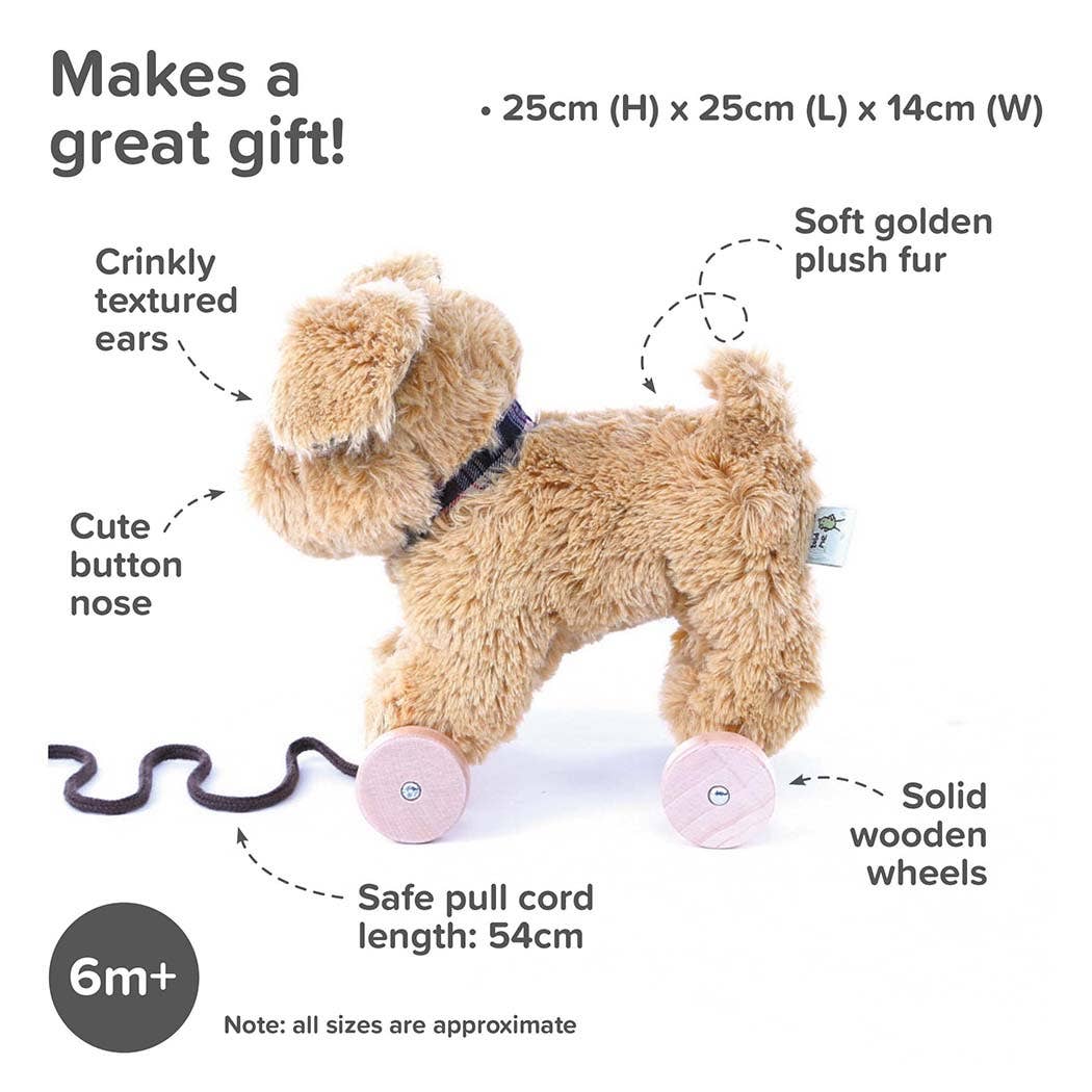 an image of an adorable labrador puppy soft toy on wooden wheels with its features highlighted