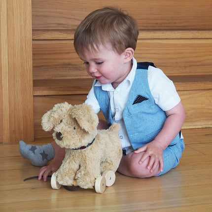 a baby boy playing with an adorable labrador puppy pull along soft toy on wooden wheels 