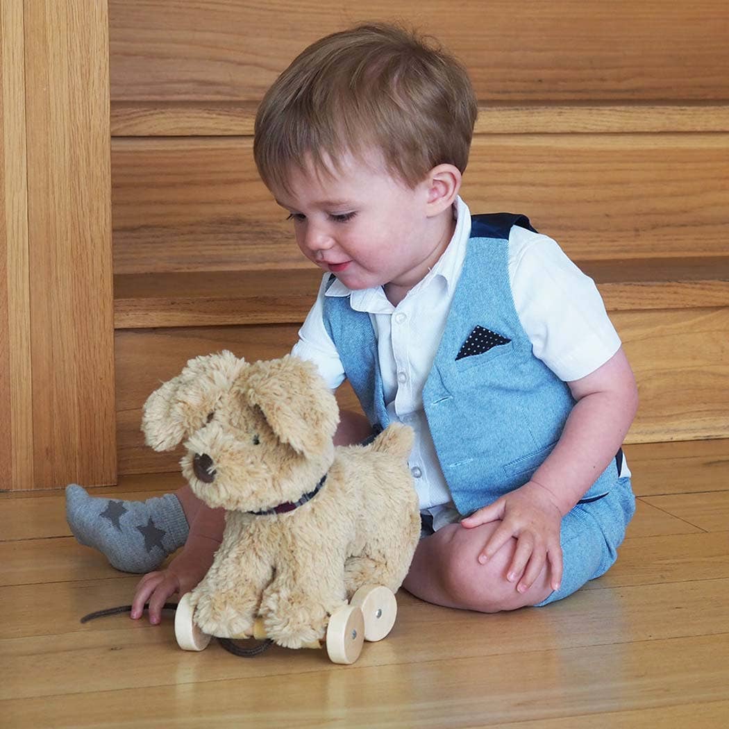 a baby boy playing with an adorable labrador puppy pull along soft toy on wooden wheels 