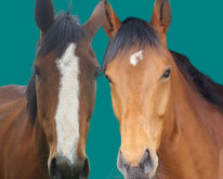 Quaver and lyric