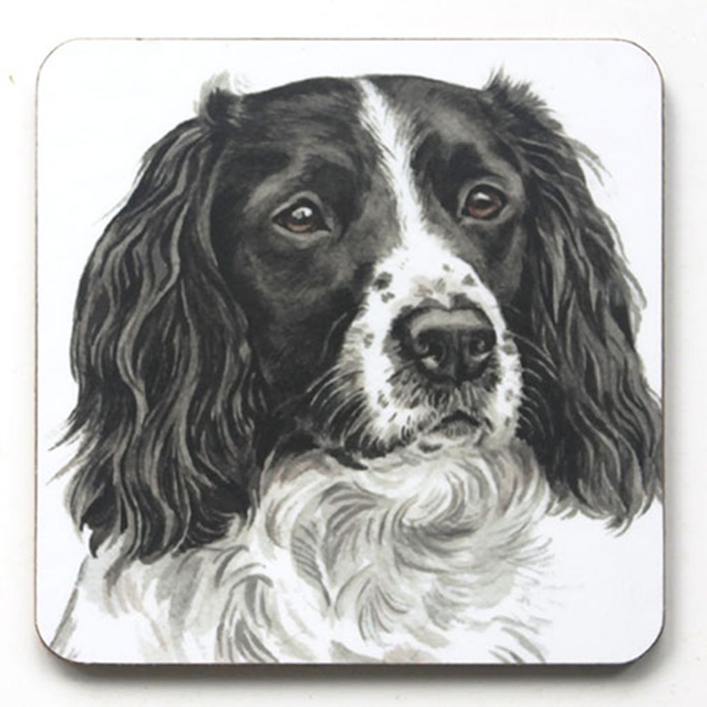 WaggyDogz Dog Breed Coaster Springer Spaniel 2 Cork Backed Square