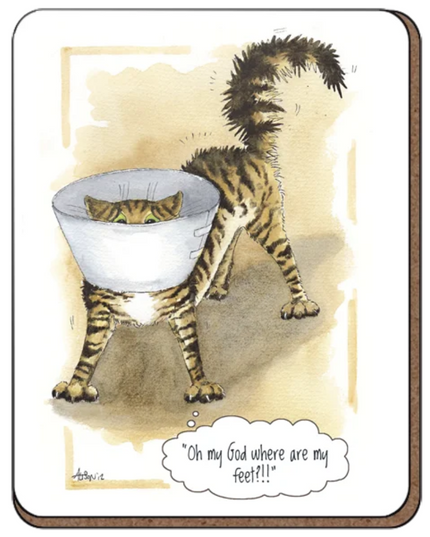 a cat Coaster from alisons animals with an illustration of an upset cat with a medical cone wondering where it's feet are