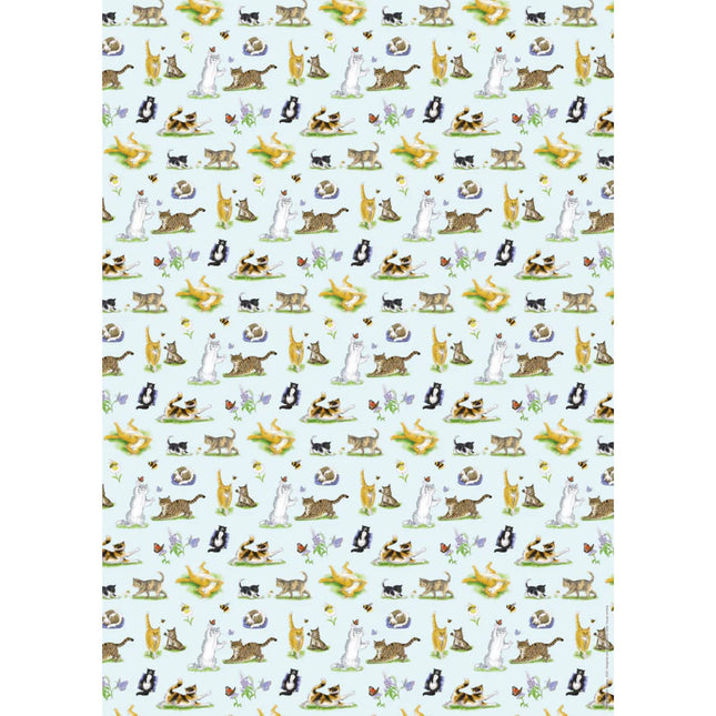 a sheet of gft wrapping paper featuring a variety of adorable cats ith flowers, bees and butterflies on a pale blue background 