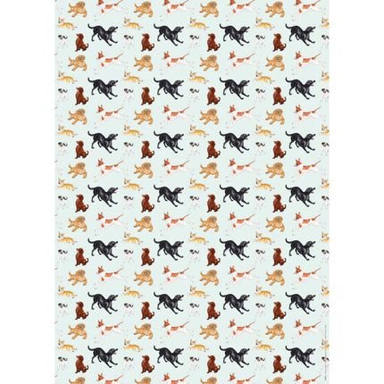 a sheet of gift wrap featuring a variety of adorable energetic dogs on a pale aqua background 