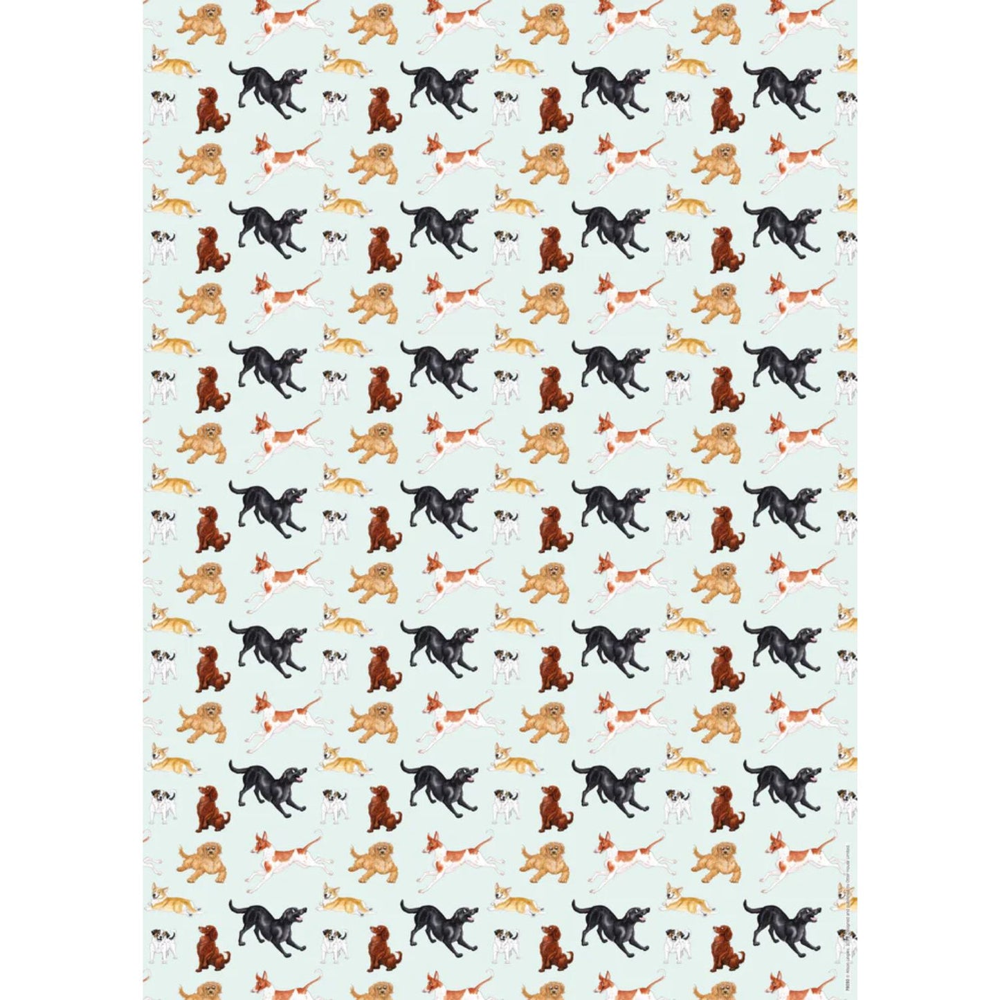 a sheet of gift wrap featuring a variety of adorable energetic dogs on a pale aqua background 