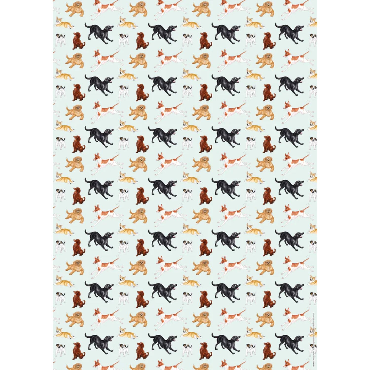 a sheet of gift wrap featuring a variety of adorable energetic dogs on a pale aqua background 