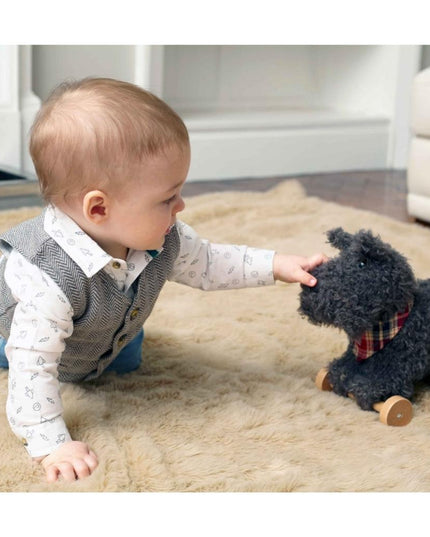 a baby boy playing with a dark grey scottie dog soft toy on wheels