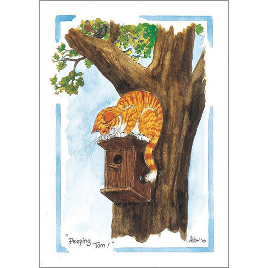 Funny Cat Greeting Card Alisons Animals Peeping Tom