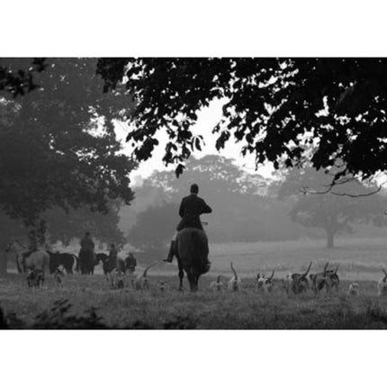 A black and white photograph showing a huntsman with hounds in a misty field