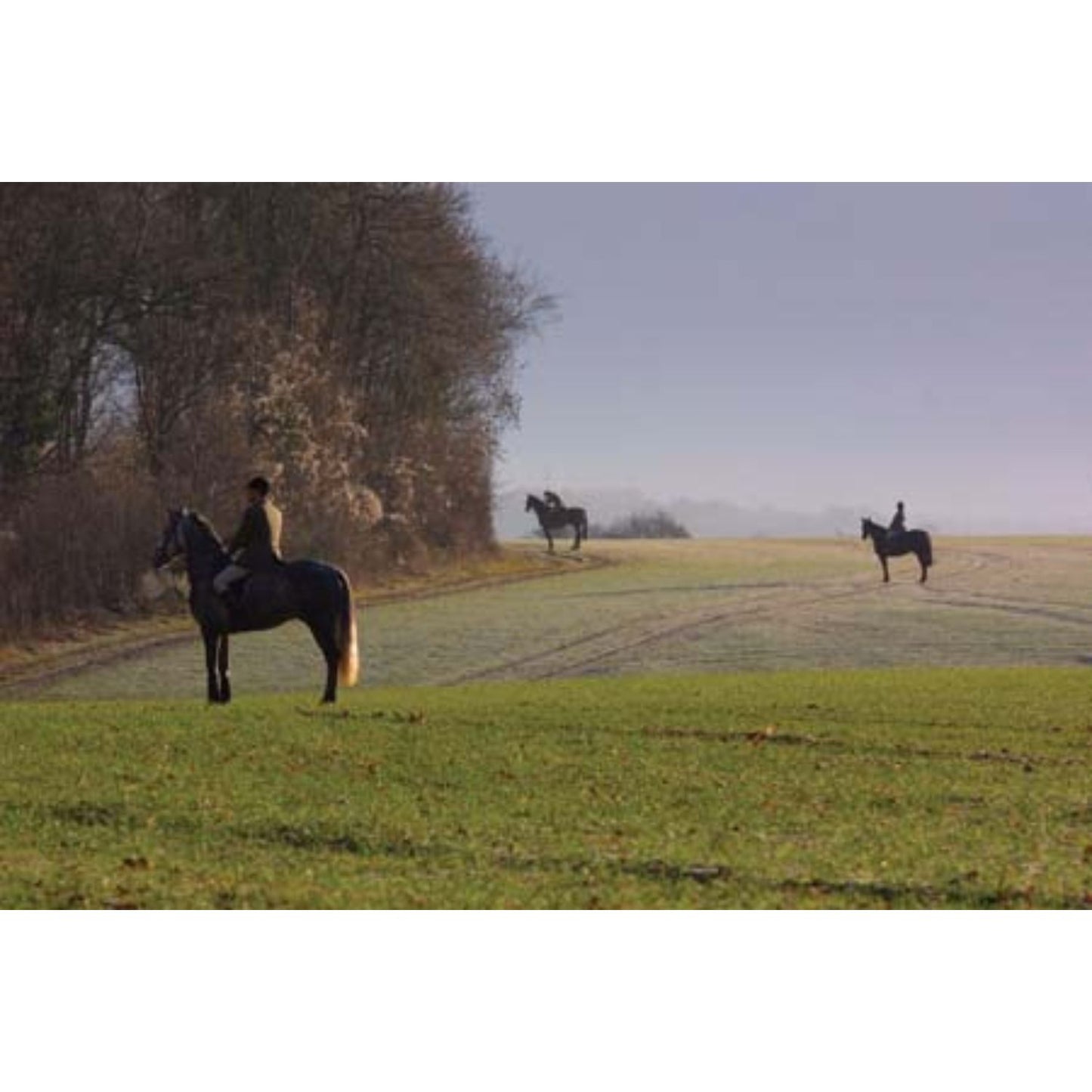 A colour photograph showing horse and riders around the edge of a wood during utumn Hunting Photograph Blank Inside With Envelope