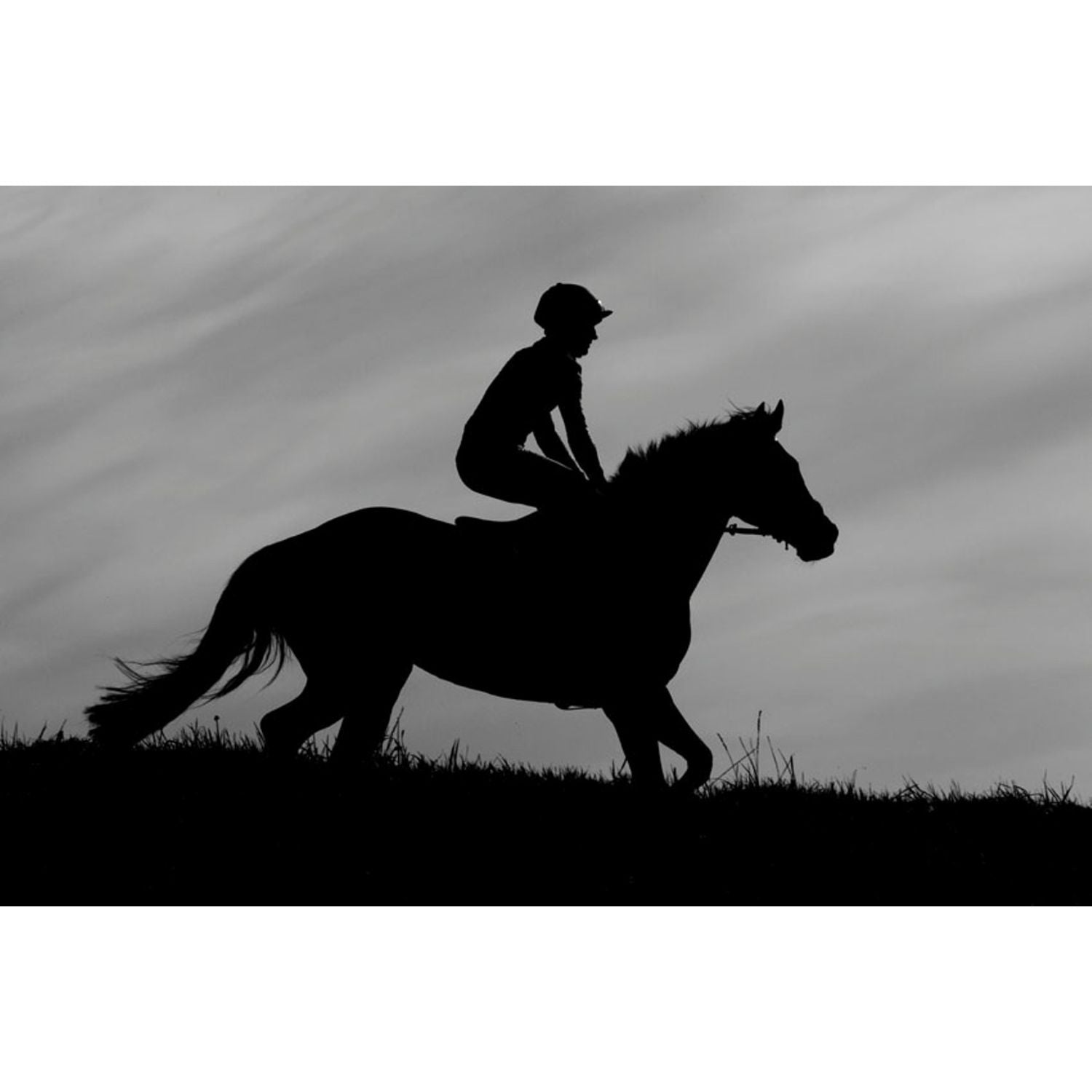 A black and white Photograph of a racehorse on the gallops