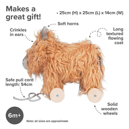 an image highlighting the features and sizes of hubert  highland cow stuffed toy with golden fur
