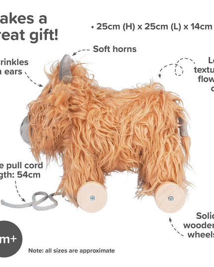 an image highlighting the features and sizes of hubert  highland cow stuffed toy with golden fur