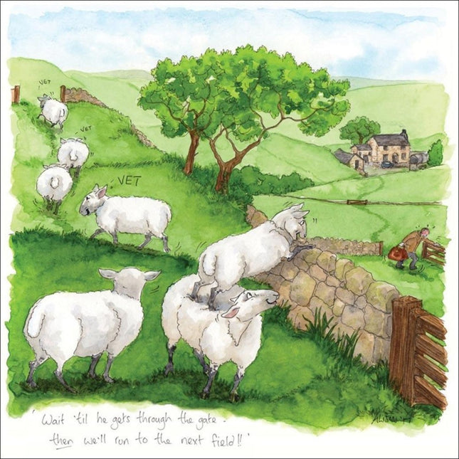 A funny Otter House greeting card from the James Herriot collection, Wait Till He Gets Through The Gate, shows sheep stacking up to climb a stone wall and escape a vet, with a farmhouse and green hills in the background.