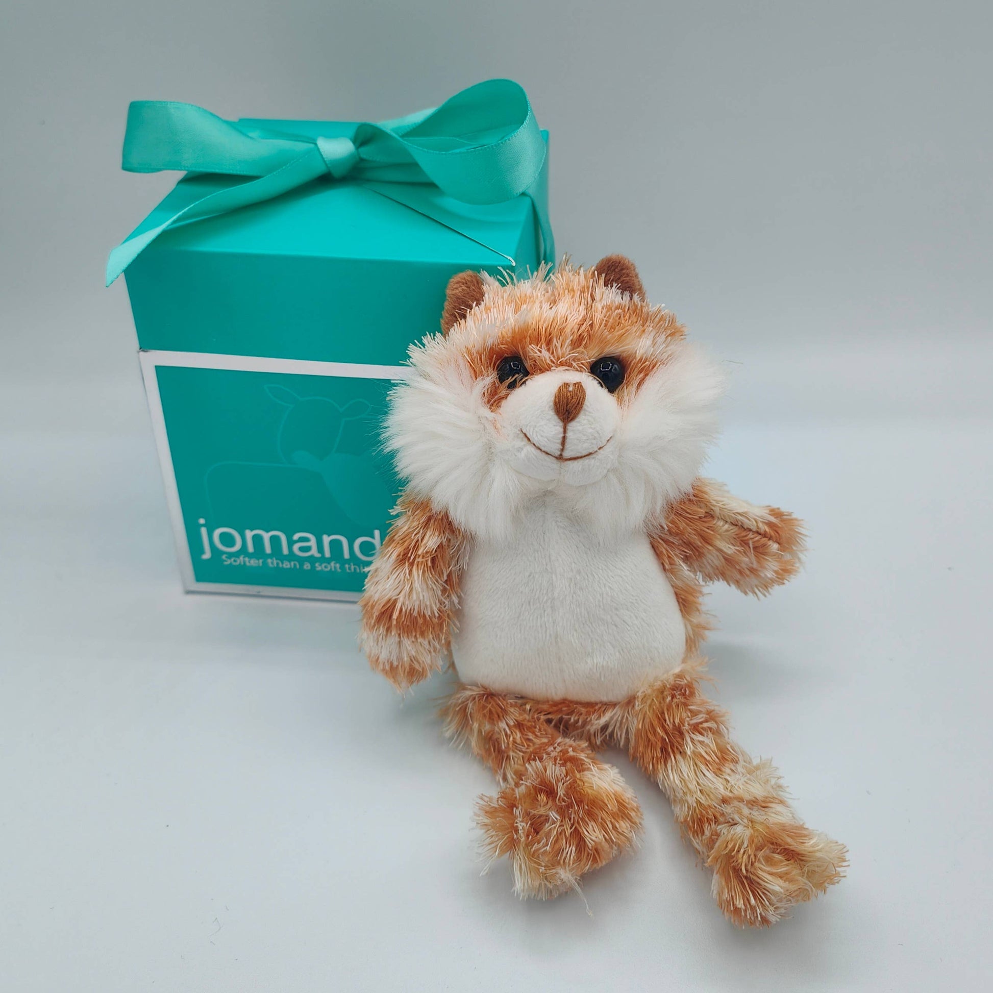 a ginger and white plush cat teddy next to a jomanda branded aqua gift box