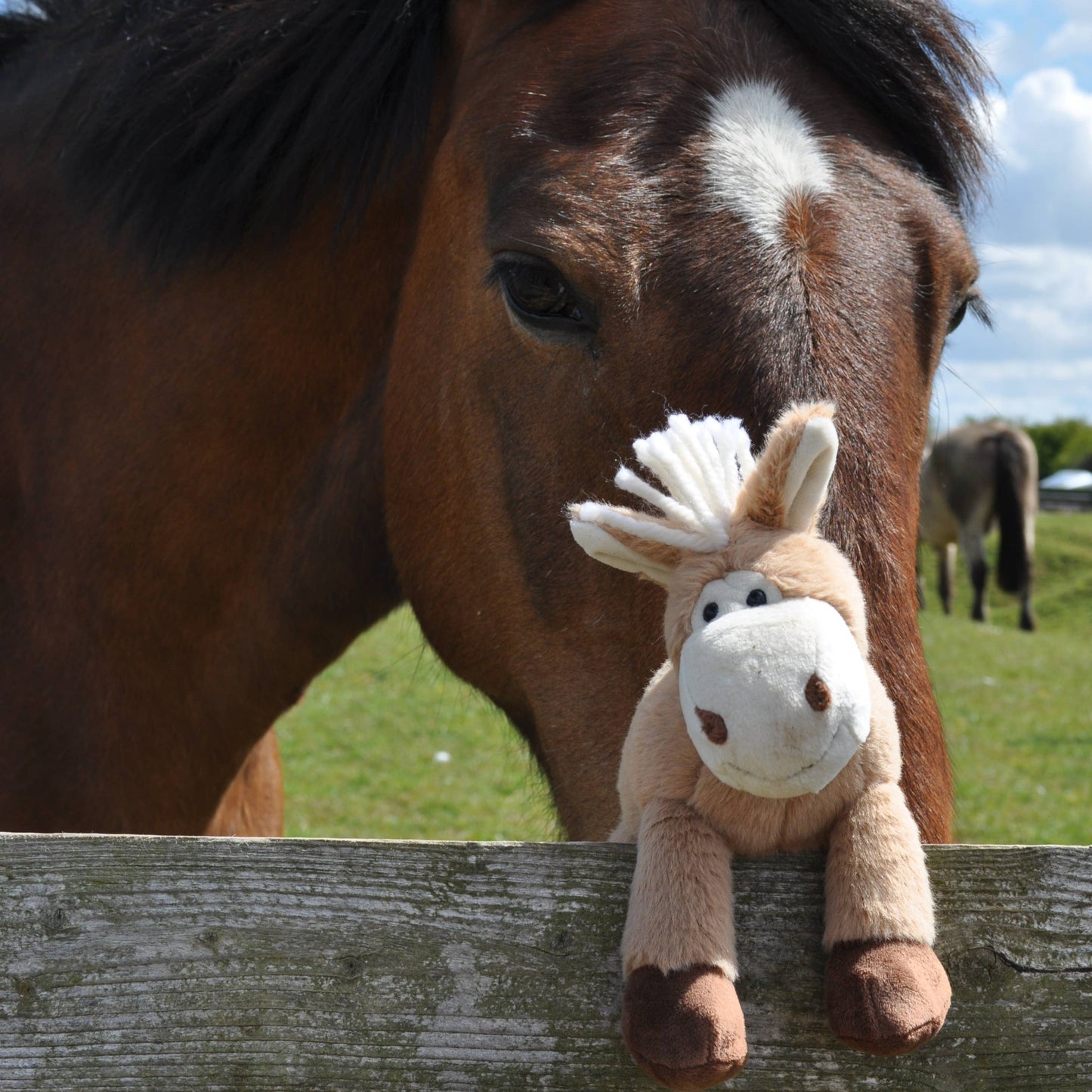 a soft and fluffy brown fabric pony Soft Toy with a smiley face, white mane and tail, and dark brown hooves, sitting on a fence in front of a horse