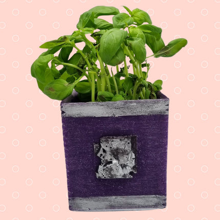 Plant Pot Holder Square Purple Wax With Antique Silver Decoration