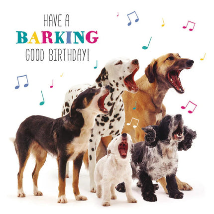 a square card featuring a group of barking dogs including a dalmation and spaniel with the caption have a barking good birthday