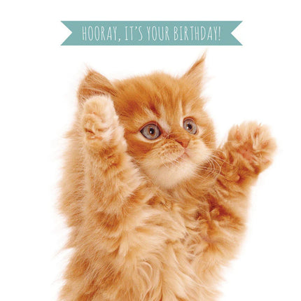 A greeting card with a photograph of a cute ginger tabby kitten. The front reads "Hooray Its Your Birthday!"card