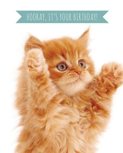 A greeting card with a photograph of a cute ginger tabby kitten. The front reads "Hooray Its Your Birthday!"card