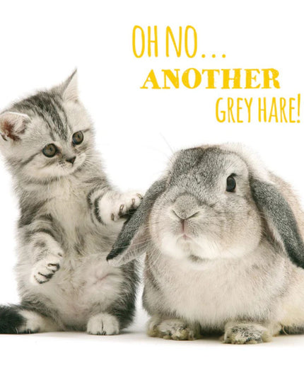 a birthday card with a photograph of a cute grey tabby kitten and bunny rabbit. The front reads "Oh No another Grey Hare!"