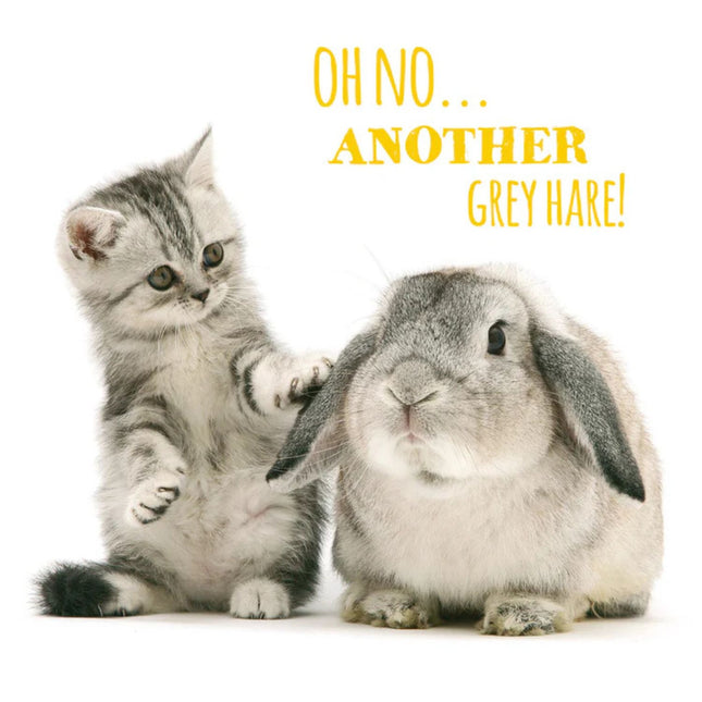 a birthday card with a photograph of a cute grey tabby kitten and bunny rabbit. The front reads "Oh No another Grey Hare!"
