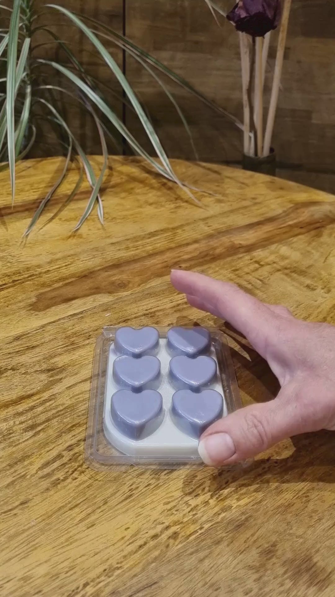 a wax melt bar with hearts in a clamshell is removed from the clamshell and shown close up