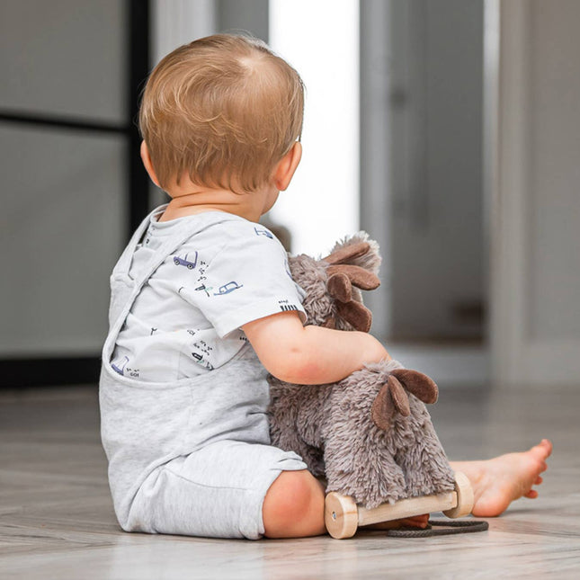 A toddler sits on a wooden floor, playing with the Pull Along Baby Toy Donkey Norbert by Little Bird Told Me UK. Facing away, the child wears a light romper and printed shirt, enjoying fun motor skills development.