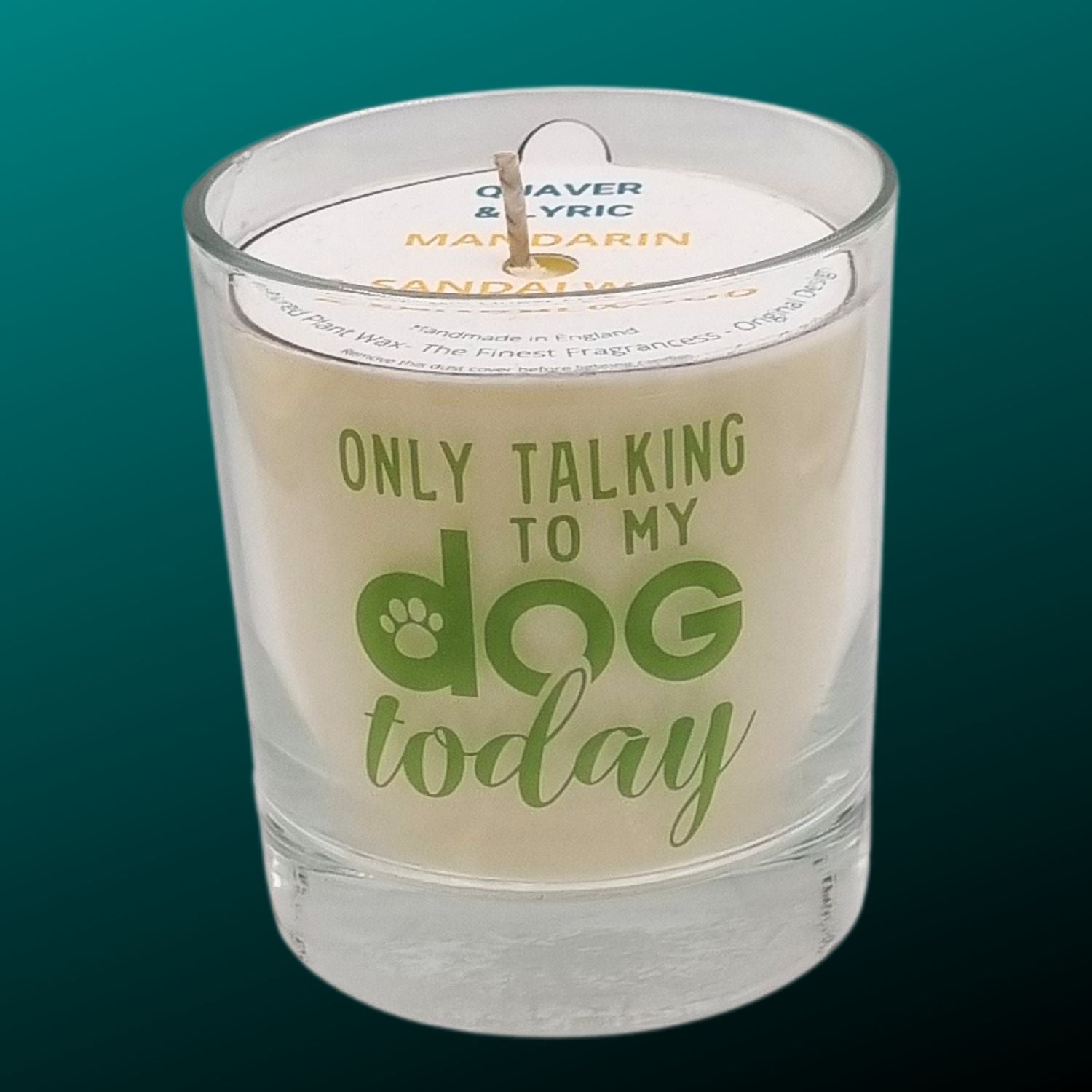 scented candle in gass container with only talking to my dog today written on the glass in green