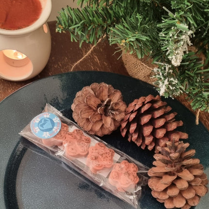 Christmas Soy Wax Melts Paws Pack of Four 60g