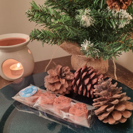 Christmas Soy Wax Melts Paws Pack of Four 60g