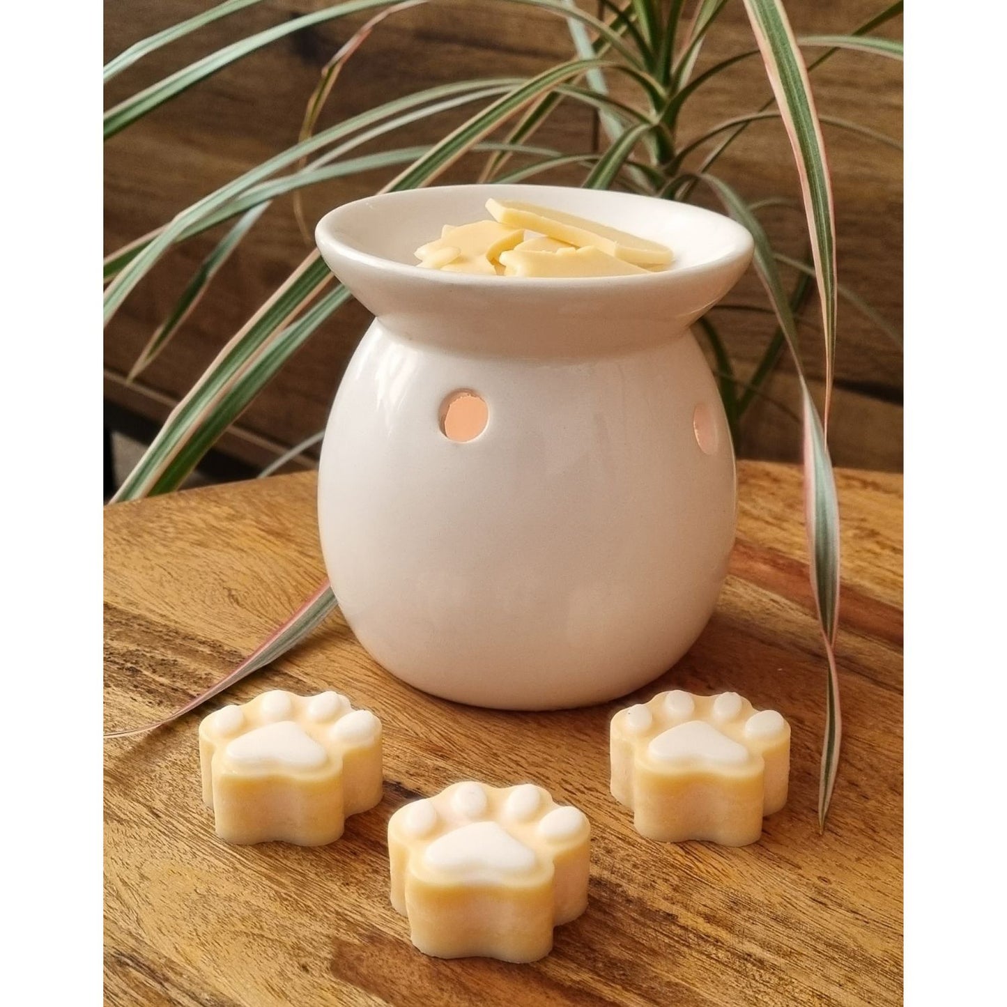 a group of orange paw shaped wax melts with white paw pads next to a wax warmer