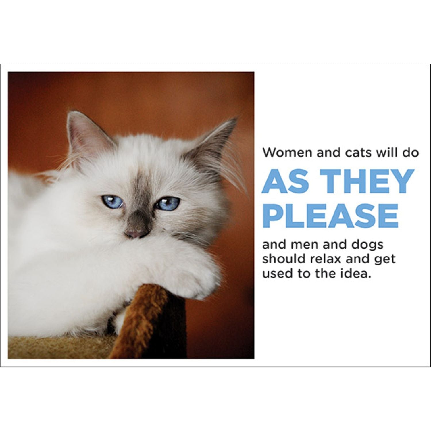 a greeting cad with a photo of a beautiful persian cat casuallly resting with its paw over the arm of the chair. The  card reads women and cats will do as they please ..