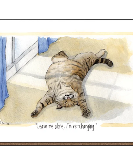 Coaster featuring a relaxed brown cat lying in the sun in front of a window.
